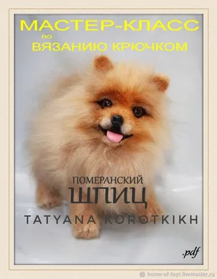 Названы популярные породы собак у россиян в 2022 году