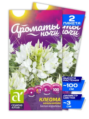 Клеомы Семена Алтая Клеома Цветной фонтан - купить по выгодным ценам в  интернет-магазине OZON