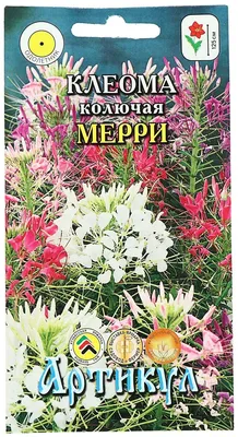 Семена Артикул Клеома колючая Мерри 0.2 г — купить в интернет-магазине по  низкой цене на Яндекс Маркете
