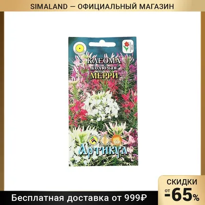 Семена цветов Клеома колючая Мерри, 0,2 г 5470750 - купить по выгодной цене  | AliExpress