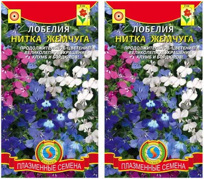 Плазменные семена Лобелия Нитка жемчуга 2 уп. по 0,03 г — купить в  интернет-магазине по низкой цене на Яндекс Маркете