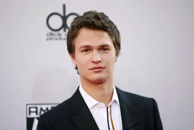 ⬇ Скачать картинки Ansel elgort, стоковые фото Ansel elgort в хорошем  качестве | Depositphotos