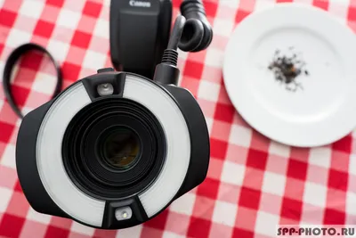 Canon Macro Ring Lite MR-14EX II: Первое знакомство - Уроки и секреты  фотографии