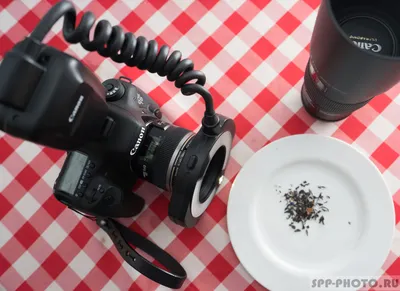 Canon Macro Ring Lite MR-14EX II: Первое знакомство - Уроки и секреты  фотографии