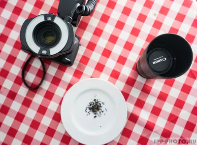 Canon Macro Ring Lite MR-14EX II: Первое знакомство - Уроки и секреты  фотографии