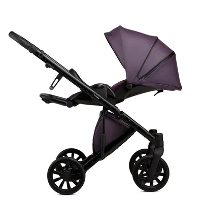 Детская Коляска ANEX e/type 2 в 1 (Фиолетовый): цена, характеристики – «100  и 1 коляска»