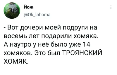 Юмор из соцсетей 11.06.2021