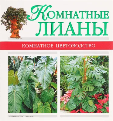 Книга \"Комнатные лианы\" – купить книгу ISBN 5-699-12519-1 с быстрой  доставкой в интернет-магазине OZON