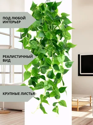 Искусственные цветы лиана для декора Felicita Home 34819467 купить в  интернет-магазине Wildberries