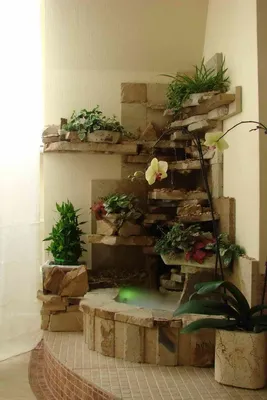 Одноклассники | Декор растений в помещении, Идеи устройства заднего двора,  Комнатные растения декор