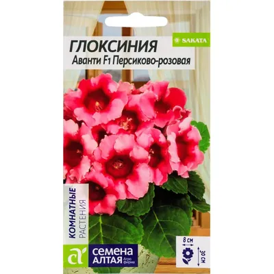 Семена растений — купить в Хабаровске | Global Flowers