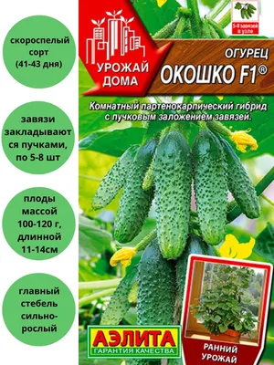 Семена Огурец Окошко Однолетние овощи Агрофирма Аэлита 66713645 купить в  интернет-магазине Wildberries