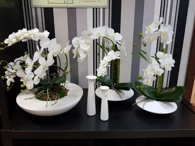 Композиции из искусственных орхидей для интерьера - 75 фото
