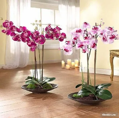 Искусственные цветы для домашнего интерьера – какие подобрать