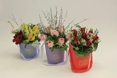 Живые цветы в подарочной коробке купить в Нижнем Новгороде - Композиции из  живых цветов - Торговый дом Орхидея