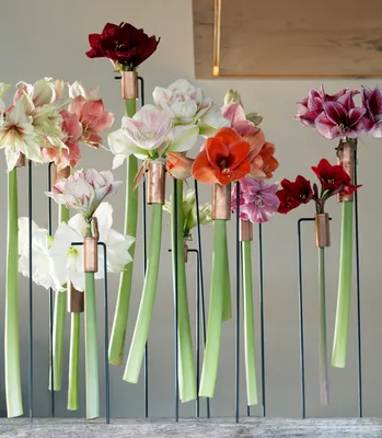 Зимний цветочный декор: 10 простых идей | myDecor