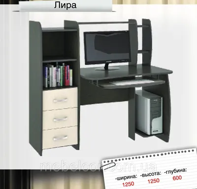 Компьютерный Стол с Ящиками и Полками \"Лира\" — Купить Недорого на Bigl.ua  (226812433)