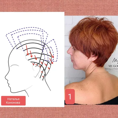 Короткие многоярусные стрижки с \"приподнятыми затылками\". Часть 161 |  Наталья Кононова | Дзен