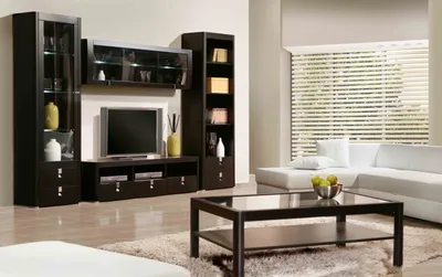 Как выбрать модульную мебель под телевизор