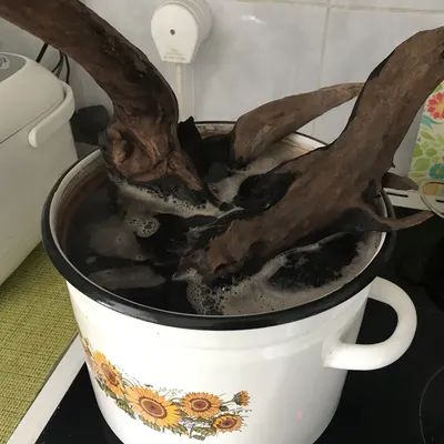 Зачем варить коряги? | Пикабу