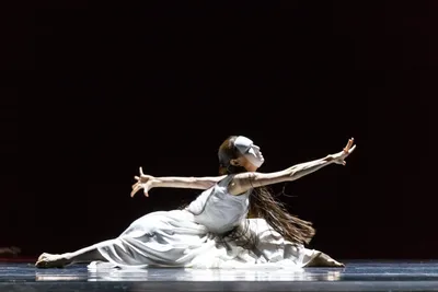 От романтического балета до contemporary dance - Новости театра - Театр  Астана Балет