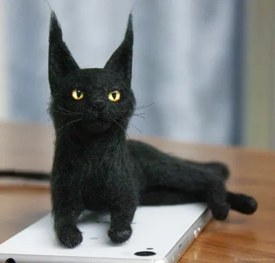 Черный кот мейн кун – купить онлайн на Ярмарке Мастеров – S883ARU |  Войлочная игрушка, Москва