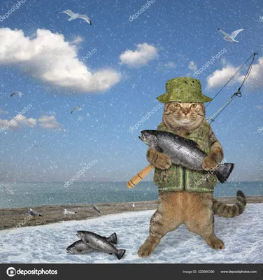 ⬇ Скачать картинки Кот рыбак, стоковые фото Кот рыбак в хорошем качестве |  Depositphotos
