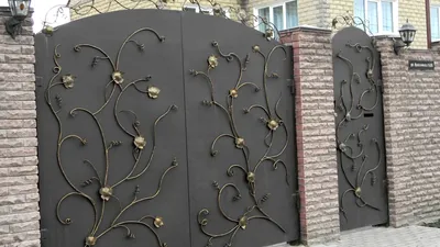 Какие ворота выбрать для частного дома? – виды, размеры и варианты дизайна  (40 фото)