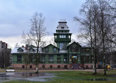Самые красивые деревянные дома Петербурга, сохранившиеся до наших дней |  Индустриальный турист | Дзен