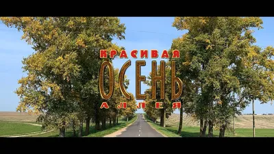 Осень, октябрь и лесные дороги - Neoxian City