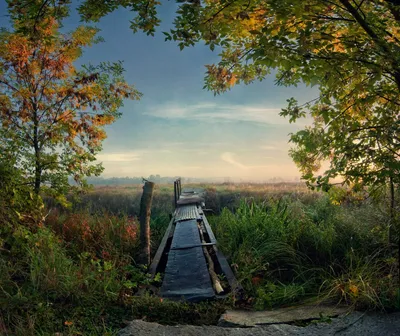 Осень в пейзаже, осень в парках