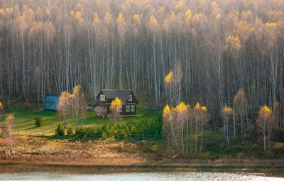 Осенняя съёмка. Девочка в лесу | Осенние портреты, Осенние фотосессии,  Осенние детские фотографии