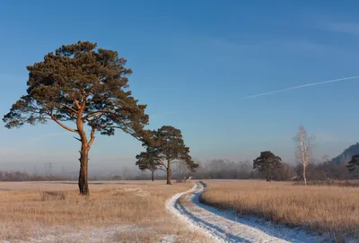 Поздняя осень фон, 328 картинки Фото и HD рисунок для бесплатной загрузки |  Pngtree