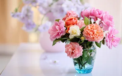 Красивые цветов в вазе фото