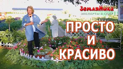 3 идеи цветочной клумбы. Цветник в тени, цветник с фонтаном, мобильная  клумба конструктор. - YouTube