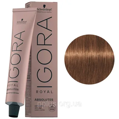 Краска для волос 7-60 Schwarzkopf Igora Royal Absolutes Средне-русый  шоколадный натуральный 60 мл: продажа, цена в Киеве. Краски для волос от  \"Интернет-магазин Престиж+\" - 55213399