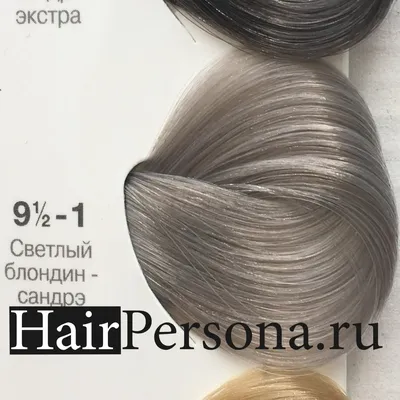 Schwarzkopf Краска IGORA Royal 9,5-1 Светлый блондин сандрэ, 60мл - купить  в Москве по цене 390 р. с доставкой в интернет-магазине косметики  Hairpersona.ru