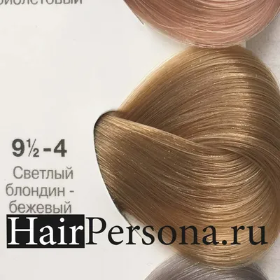 Schwarzkopf Краска IGORA Royal 9,5-4 Светлый блондин бежевый, 60мл - купить  в Москве по цене 390 р. с доставкой в интернет-магазине косметики  Hairpersona.ru