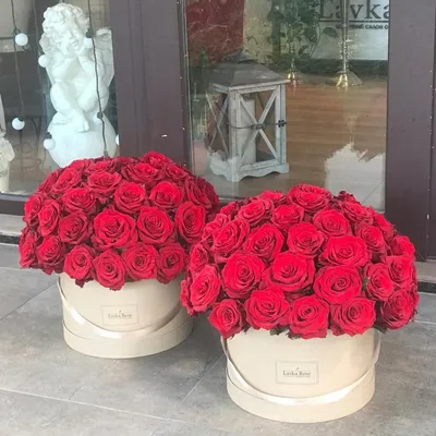 Красные розы в коробке, Flowers \u0026 Gifts Sochi, buy at a price of 20000 RUB,  Flowers in a Box on Lavka Rose with delivery | Flowwow