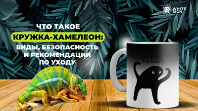 Что такое кружка-хамелеон: виды, безопасность и рекомендации по уходу -  Блог White Sign