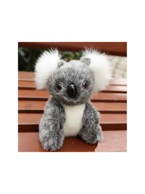 Картинки коала (43 фото) » Юмор, позитив и много смешных картинок