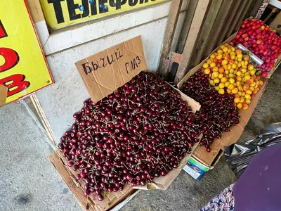Дагестан. Что продают на рынке в Махачкале: впервые увидела курдюк от  целого барана, урбеч и как продают большие домашние пироги | Под зонтиком |  Дзен