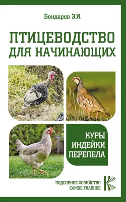 Птицеводство для начинающих – купить за 300 ₽ | Фермер72.рф Тюмень