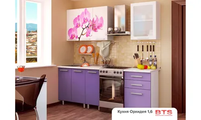 Кухня Орхидея 1,6 метра BTS купить по низкой цене с доставкой по Москве в  интернет магазине Мебелишка