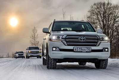 Land Cruiser 200 с пробегом — все (большие и не очень) проблемы