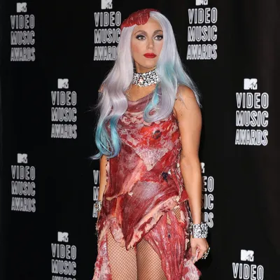 Леди Гага и ее мясное платье как неочевидный символ движения ЛГБТК | Vogue  Russia