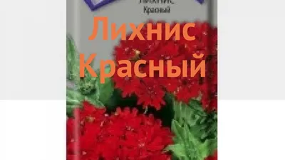 Лихнис Красная Красный – купить семена в интернет-магазине Лафа с доставкой  по Москве, Московской области и России