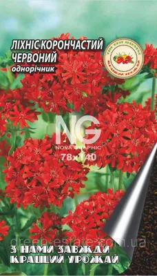 Лихнис корончатый красный 0,2 г., цена 5 грн — Prom.ua (ID#1533532883)