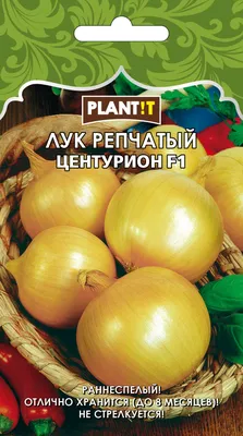 Лук Центурион репчатый Plantit