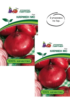 Лук Агрофирма Партнер лук 23 - купить по выгодным ценам в интернет-магазине  OZON